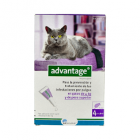 MEDICALPET 80 mg SOLUCION...